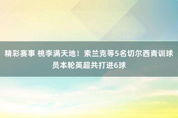 精彩赛事 桃李满天地！索兰克等5名切尔西青训球员本轮英超共打进6球