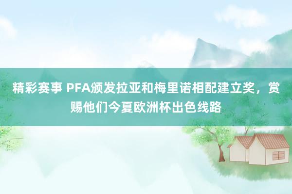 精彩赛事 PFA颁发拉亚和梅里诺相配建立奖，赏赐他们今夏欧洲杯出色线路