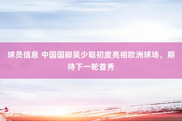 球员信息 中国国脚吴少聪初度亮相欧洲球场，期待下一轮首秀