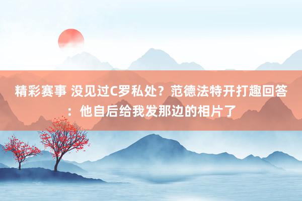 精彩赛事 没见过C罗私处？范德法特开打趣回答：他自后给我发那边的相片了