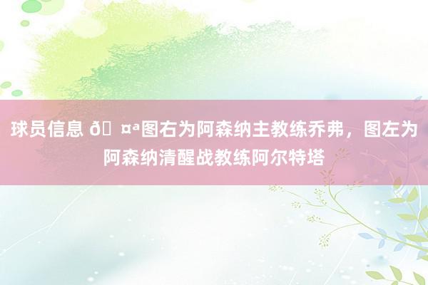 球员信息 🤪图右为阿森纳主教练乔弗，图左为阿森纳清醒战教练阿尔特塔