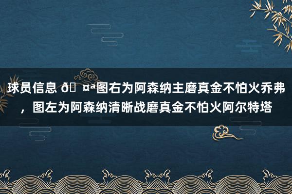 球员信息 🤪图右为阿森纳主磨真金不怕火乔弗，图左为阿森纳清晰战磨真金不怕火阿尔特塔