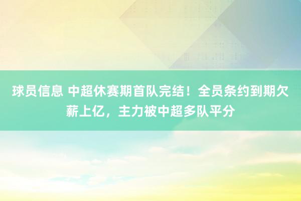 球员信息 中超休赛期首队完结！全员条约到期欠薪上亿，主力被中超多队平分